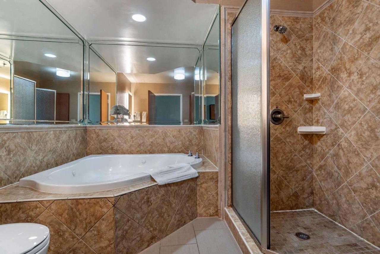 Comfort Hotel